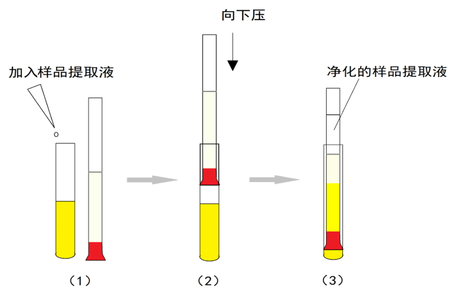 圖片1.png